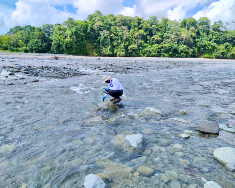 3 7 estudios hidrogeológicos hidrológicos y ambiental